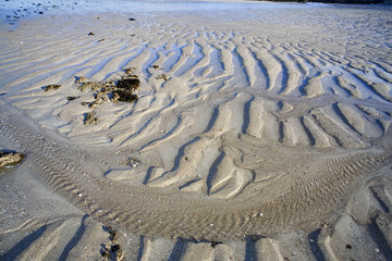 france,normandie, Granville : plage à marée basse