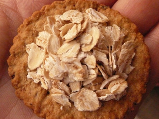 cracker with oats on a hand