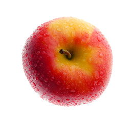 Fresh Wet Apple