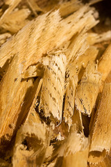 timber