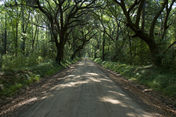 Sandy backroad