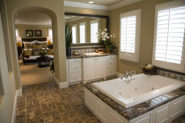 Luxury home bathroom