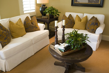 Living room with luxury decor.