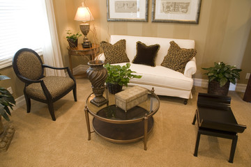 Cozy luxury living room.