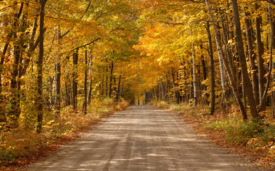 Scenic country roadway in a wooded setting