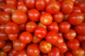 perfect fresh red wet tomatoes with tomato on background