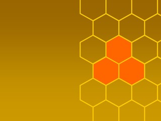 bees honeycombs and focus right