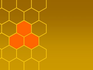 bees honeycombs and focus left