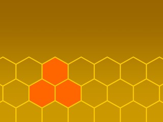 bees honeycombs and focus bottom