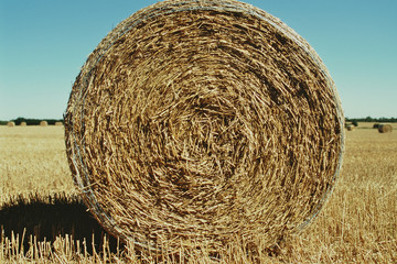 Round Straw Bale