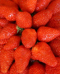 strawberry, fraise, fraises, 