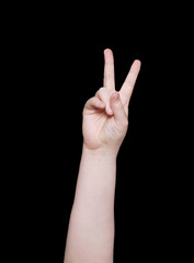 sign language number two