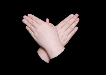 sign language word butterfly