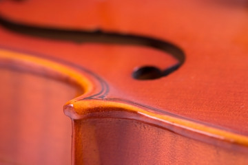 Violin