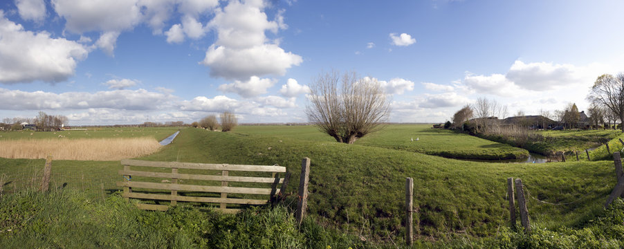 Dutch landscape