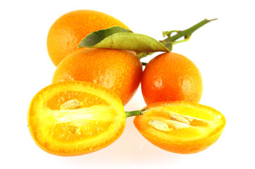 close up of few kunquats