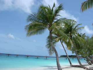 spiaggia maldiviana