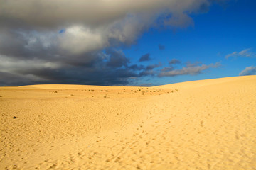 Fototapeta na wymiar Milczenie pustyni