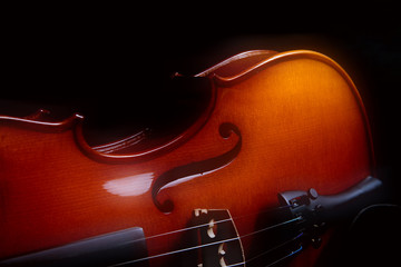 Violin