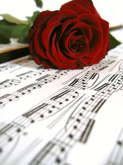 Red rose over sheet music