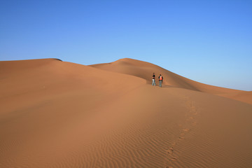 Fototapeta na wymiar Randonneurs dans les dunes du Sahara