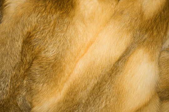 Fur,