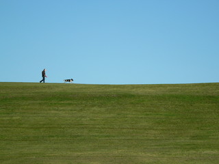 Sky line