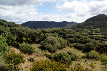Fototapeta premium Menorca - Islas Baleares - Spain
