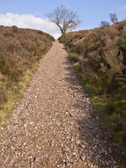 Pathway