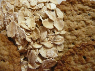 Oats close up