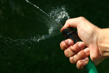 spraying water with the hose