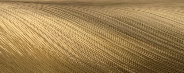 Field with furrows 