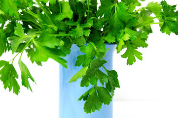 bouquet de persil