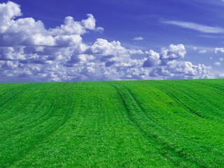 Fields against a cloudy sky