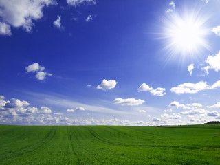 Fototapeta na wymiar Zielone pola i błękitne niebo