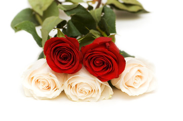 Five roses isolated on the white background