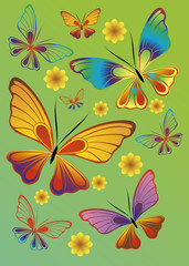 butterflies - vector