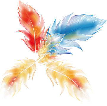 plumes color&eacute;es isol&eacute;es sur fond blanc