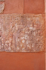Fertility Hieroglyph