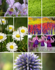 Frühling