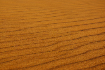 dune sand