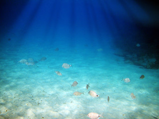 Sea underwater