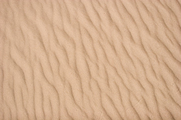 Sand texture with ripples