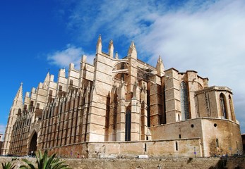 Gothic Cathedral