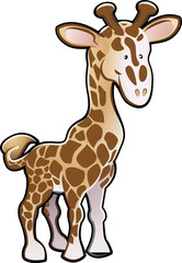 Cute Giraffe Illustration