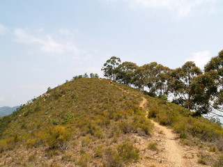 Growing Rock - Tanzania