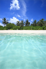 Tropical sea