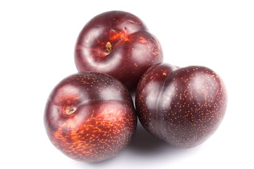 Plum on a white background
