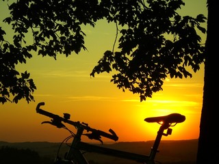 radfahreridylle