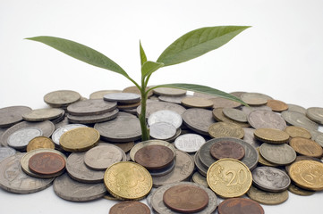 Financial growth.Conceptual image.